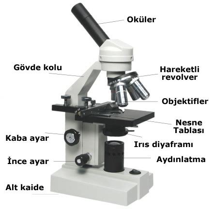 mikroskop nedir ne için kullanılır